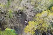 Hue : Les splendeurs automnales de la mangrove de Ru Cha
