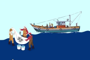 Mesures urgentes pour surmonter les lacunes et les limitations actuelles en matière de lutte contre la pêche INN