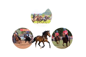 Quelques festivals et courses hippiques traditionnels au Vietnam
