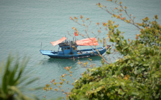 Pour se rendre sur l'île depuis Da Nang, les touristes embarquent au port de Tho Quang sur de petits bateaux, effectuent une première traversée jusqu'à environ 200 mètres de la côte, puis prennent des bateaux-paniers pour atteindre leur destination finale. Photo : VNA 3-kham-pha-ve-dep-hoang-so-cua-dao-son-cha-da-nang-7989958-avatar.jpg