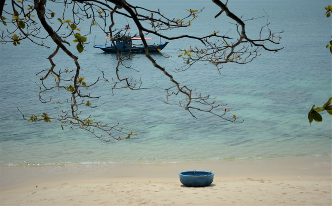Belle plage de sable blanc au sud de l'île. Photo : VNA 4-kham-pha-ve-dep-hoang-so-cua-dao-son-cha-da-nang-7989957.jpg