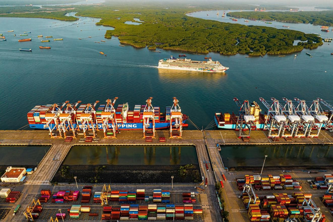 Une zone de libre-échange reliée au port maritime dans la zone du terminal de Cai Mep Ha a été proposée. Photo : thanhtra.com.vn 674de40413d43051a256d6a3.jpg