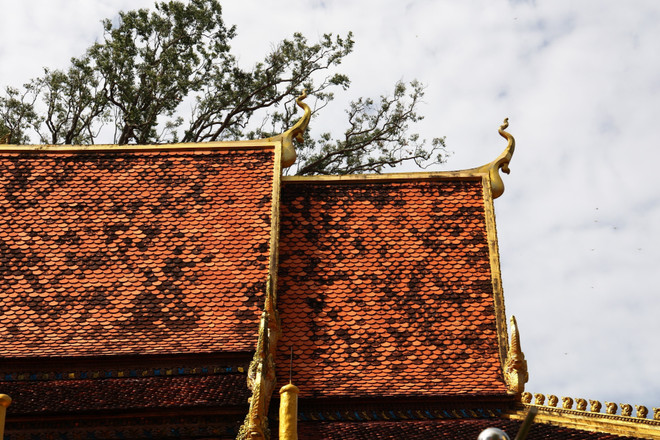 Le sanctuaire est coiffé de trois toitures superposées. Photo : VNA anh-8-3.jpg