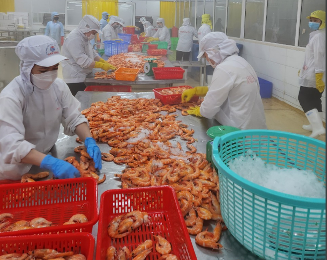 L'économie vietnamienne a connu une croissance de 7,09% en 2024, soit bien plus que les 5,1% de 2023, dépassant en même temps les prévisions générales du marché et l'objectif officiel (6,5%). Photo: VietnamPlus sx-tom-3.png