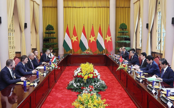 Les deux présidents vietnamien et hongrois s'entretiennent à Hanoi. Photo: VNA vna-potal-chu-tich-nuoc-luong-cuong-hoi-dam-voi-tong-thong-hungary-8059131.jpg