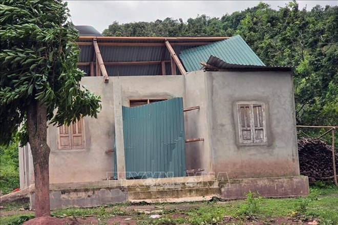 Dans l’après-midi du 22 juillet, selon le Département de l’Agriculture et de l’Environnement de la province de Quang Tri, le typhon Wipha a causé d’importants dégâts aux habitations, aux infrastructures et aux activités agricoles locales. Photo: VNA vna-potal-bao-so-3-nhieu-nha-do-sap-va-toc-mai-san-xuat-nong-nghiep-thiet-hai-tai-quang-tri-stand.jpg