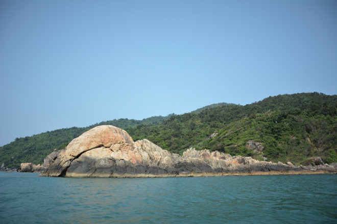 Les côtes rocheuses de l'île sont des endroits idéaux pour prendre de belles photos. Photo : VNA 2-kham-pha-ve-dep-hoang-so-cua-dao-son-cha-da-nang-7989961.jpg