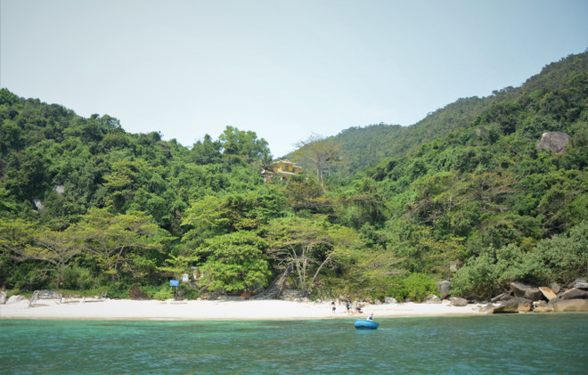 Au-delà de son paysage naturel unique, l'île recèle une beauté sauvage et vibrante qui invite à l'exploration. Elle dévoile une plage de sable blanc immaculé et un écosystème sous-marin foisonnant, abritant plus de 144 espèces de coraux, 135 d'algues et 162 de poissons aux couleurs éclatantes, offrant un spectacle chatoyant sous la surface de la mer. Photo : VNA 1-kham-pha-ve-dep-hoang-so-cua-dao-son-cha-da-nang-7989963.jpg