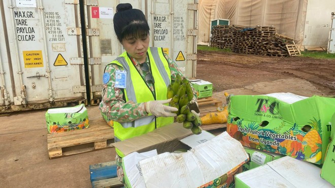 Chaque article est soigneusement inspecté en quantité et en qualité par le lieutenant-colonel Vu Thi Kim Oanh. Photo: VIetnamPlus mu-noi-xanh-8102025-5.jpg