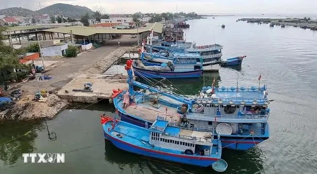 Khanh Hoa fait preuve d'une grande détermination dans la lutte contre la pêche INN