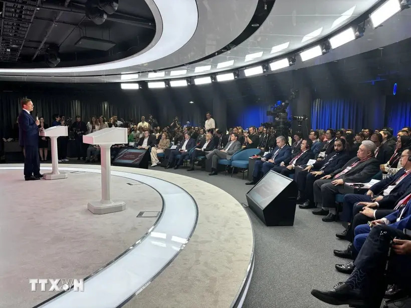 Panorama de la conférence. Photo: VNA