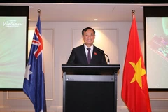 Lê Tân Toi, président de la Commission de la Défense, de la Sécurité et des Affaires extérieures de l’Assemblée nationale, prend la parole. Photo : VNA