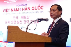 Le vice-Premier ministre et ministre des Affaires étrangères Bui Thanh Son au colloque. Photo : VNA