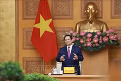 Le Premier ministre Pham Minh Chinh lors de la rencontre. Photo : VNA