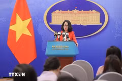 la porte-parole du ministère des Affaires étrangères, Pham Thu Hang. Photo : VNA