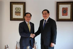 Le vice-Premier ministre et ministre des Affaires étrangères Bui Thanh Son (gauche) a rencontré le Premier ministre lao Sonexay Siphandone. Photo : VNA