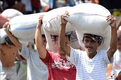 Des personnes déchargent du riz d'un entrepôt à Tacloban, aux Philippines. Photo : AFP/VNA