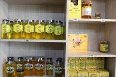 Le miel de menthe est un produit clé du plateau rocheux de Dong Van (Ha Giang). Photo : VNA