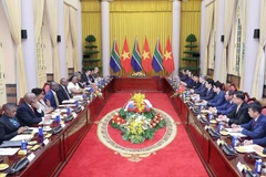 Entretien entre le président de la République d’Afrique du Sud, Matamela Cyril Ramaphosa, et le président Luong Cuong. Photo : VNA