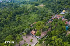 Le vestige Con Son-Kiep Bac. Photo : VNA