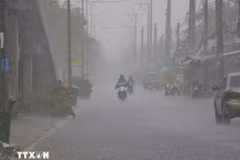 De violentes pluies continuent de s’abattre sur les régions du Nord et du Centre du Vietnam. Photo : VNA