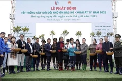 Lancement de la campagne de plantation d’arbres du printemps 2025 à Thai Binh. Photo: VNA