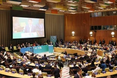 Le président Luong Cuong assiste à la Réunion spéciale de haut niveau sur l’action climatique. Photo : VNA
