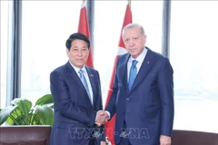 Le président vietnamien Luong Cuong (gauche) a rencontré dans l’après-midi du 24 septembre (heure locale) à New York, le président turc Recep Tayyip Erdoğan. Photo : VNA