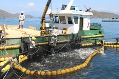 Modèle d'aquaculture marine industrielle dans la baie de Van Phong, district de Van Ninh (aujourd'hui commune de Van Ninh), province de Khanh Hoa. Photo : VNA