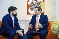Le Premier ministre Pham Minh Chinh (droite) rencontre e président chilien Gabriel Boric Font, à Rio de Janeiro. Photo : VNA