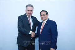 Le Premier ministre Pham Minh Chinh (droite) rencontré le président uruguayen Yamandú Orsi, à Rio de Janeiro, au Brésil. Photo : VNA