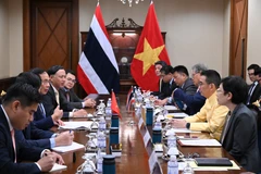 Le vice-Premier ministre et ministre des Affaires étrangères du Vietnam, Bui Thanh Son, s’entretient à Bangkok avec son homologue thaïlandais Maris Sangiampongsa. Photo : VNA