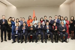 Le Premier ministre Pham Minh Chinh et des membres du Réseau d'innovation vietnamien en Europe. Photo : VNA