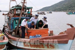 Pêche INN : An Giang renforce la gestion et le contrôle des navires de pêche non autorisés