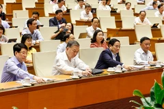 La 15e AN adopte la résolution modifiant et complétant plusieurs articles de la Constitution. Photo: VNA