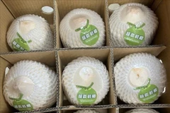 Le noix de coco fraîches du Vietnam exportées vers la Chine via le poste-frontière de Bac Luân II. Photo : VNA