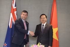 Le vice-Premier ministre Tran Hong Ha (droite) et le vice-Premier ministre néo-zélandais David Seymour. Photo : VNA
