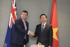 Le vice-Premier ministre Tran Hong Ha (droite) et le vice-Premier ministre néo-zélandais David Seymour. Photo : VNA