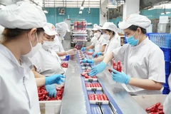 La ligne de conditionnement de produits chez l'entreprise verte vietnamienne Vissan. Photo : sggp.org.vn