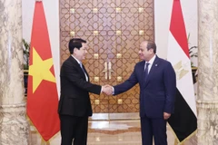 Déclaration conjointe sur l’élévation des relations au niveau de partenariat global Vietnam-Égypte