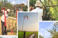 Huynh Công Ly (chemise blanche) et sa famille perpétuent la tradition d’ériger le mât rituel depuis plus de 50 ans. Photo : CVN