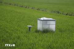 Système de mesure de la réduction des émissions dans les rizières. Photo : VNA