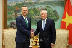 Le vice-Premier ministre permanent Nguyen Hoa Binh et Haluk Görgün, président de l’Agence turque des industries de défense, à Hanoï. Photo : VNA