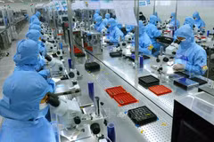 Ligne de production de modules de caméra et de composants électroniques destinés à l'exportation dans l'usine MCNEX VINA Co., Ltd., société à participation sud-coréenne, située dans le parc industriel de Phuc Son, province de Ninh Binh. Photo : VNA