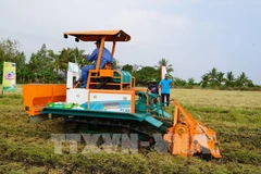 Démonstration d'un pulvérisateur d'engrais pour le traitement de la paille et des chaumes, combiné au labour. Photo : VNA