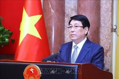 Le président Luong Cuong. Photo : VNA