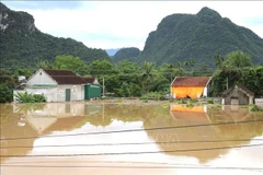 Des habitations à Con Cuông (Nghê An) sont isolées par les eaux. Photo : VNA