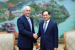 Le vice-Premier ministre et ministre des Affaires étrangères Bui Thanh Son (droite) reçoit à Hanoï Gerardo Peñalver Portal, premier vice-ministre des Affaires étrangères de Cuba. Photo : VNA