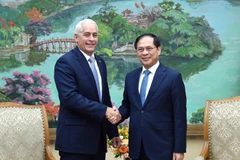 Le vice-Premier ministre et ministre des Affaires étrangères Bui Thanh Son (droite) reçoit à Hanoï Gerardo Peñalver Portal, premier vice-ministre des Affaires étrangères de Cuba. Photo : VNA