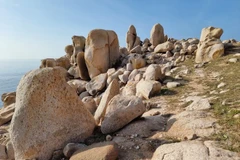 Le parc de pierres de Ninh Thuân recèle d'innombrables roches aux formes singulières. Photo : VNA